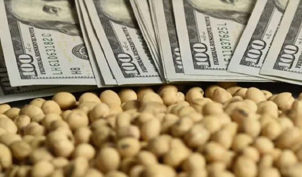 Retenciones: duro cruce del campo a Javier Milei